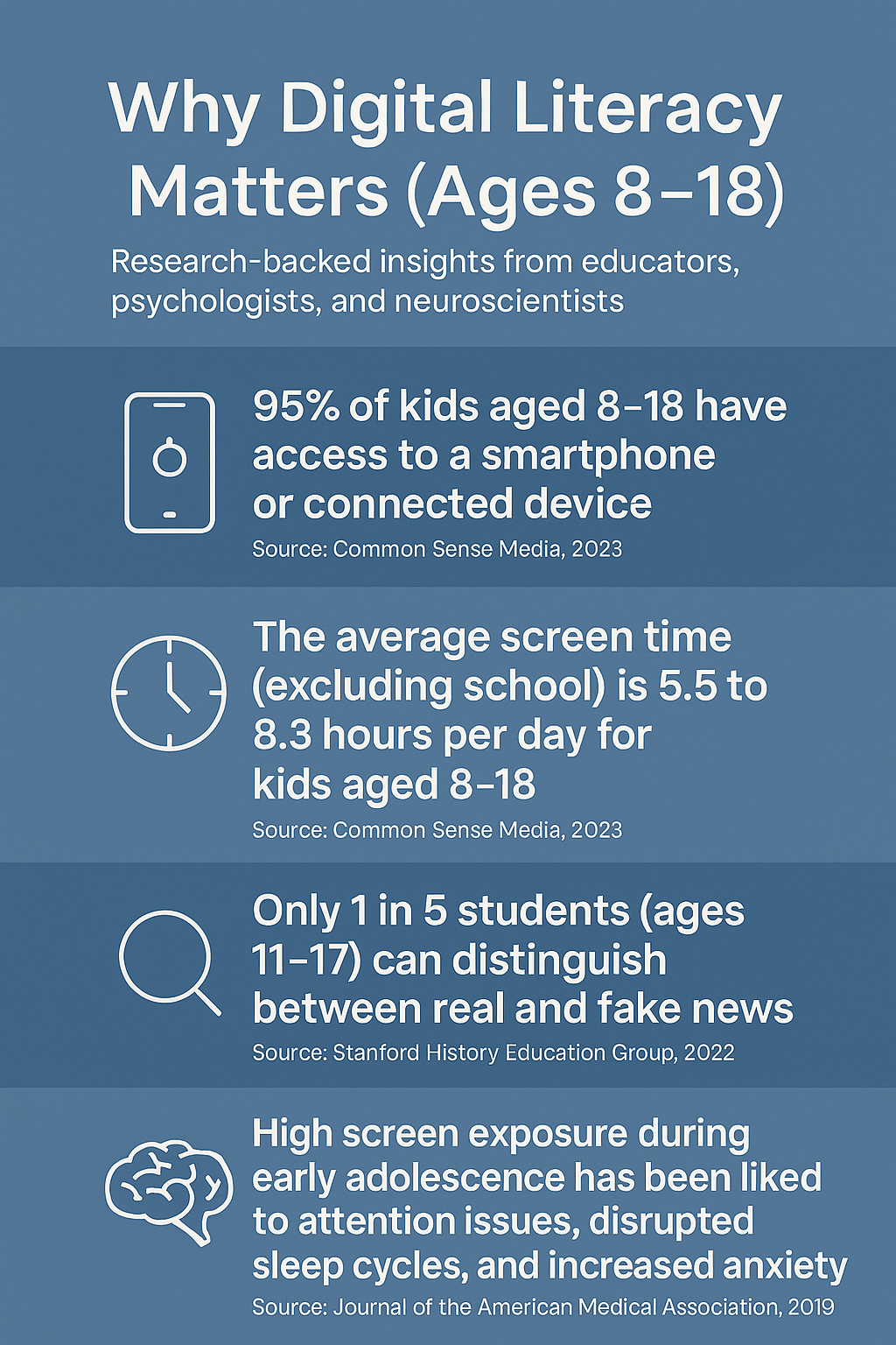 Digital Literacy Infographic